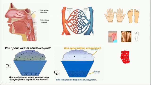 Холодные ноги и руки у новорожденных, вред носков. смотреть онлайн