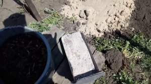 Посадка ЧЕРЕВИШНИ