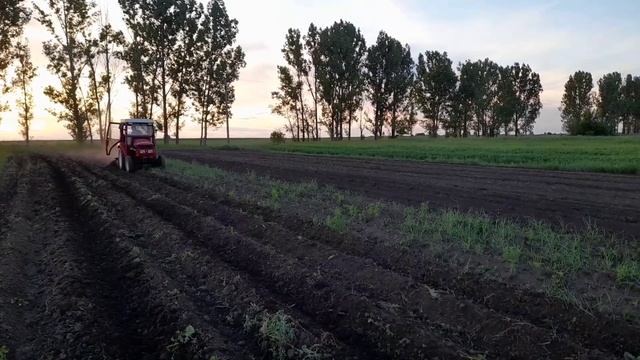 Ежи для прополки картофеля смотреть онлайн