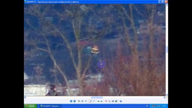 призрак головы зверя на дереве в Черновцах Часть 1 смотреть онлайн