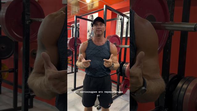 Важность приседаний 🏋️♂️🔝 смотреть онлайн