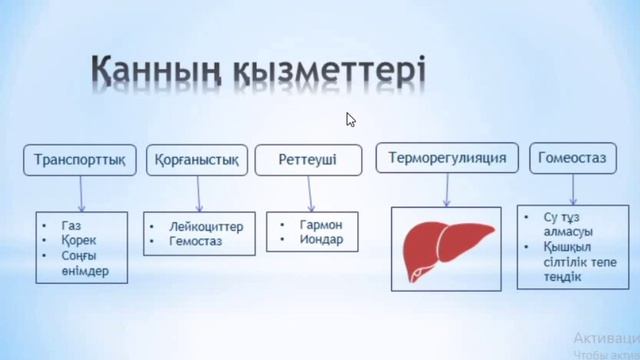 Қан | Құрамы | Қызметі смотреть онлайн