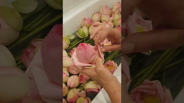 Подготовка цветка лотоса к составлению букета смотреть онлайн