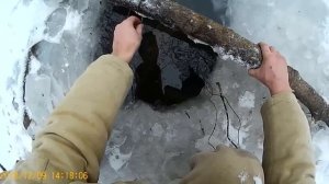 Выбор приманки на бобра зимой