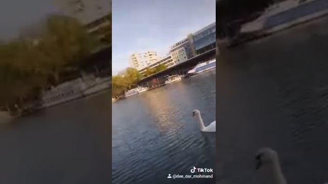 Gare de l'est Paris смотреть онлайн