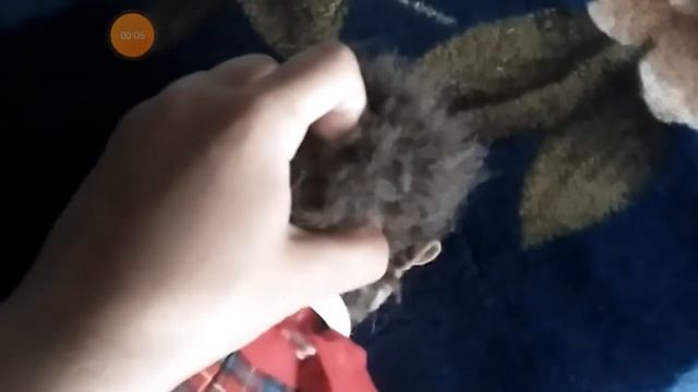 Я не человек и не горошек, я ежик, гурустны ежик)) смотреть онлайн