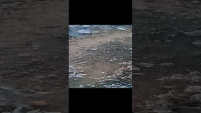 VID_20191017_175251 смотреть онлайн