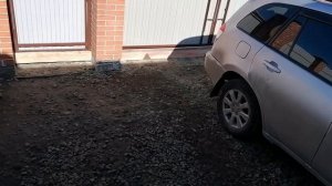 Собака пролазит под воротами, решение