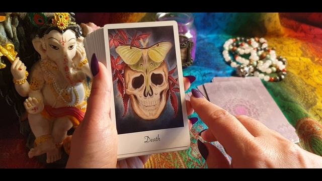 ? Shakti Wisdom Oracle Cards by Lee Libro & Ashley Shakti ? смотреть онлайн
