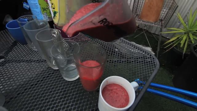 High Performance Upgrade for Fender Blender Bike Blenders offers more quantity, variety смотреть онлайн