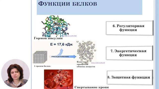 Биология, 8-й класс, Химический состав клетки. Органические вещества смотреть онлайн