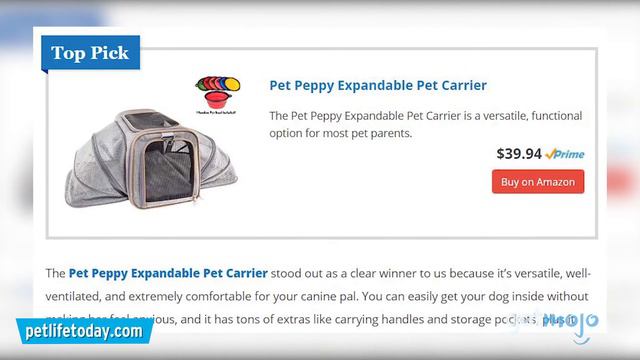 Top 4 Dog Carriers For Transporting Your Pets смотреть онлайн