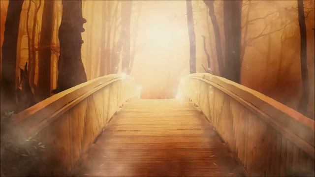 Книжный обзор "Полка новых поступлений" смотреть онлайн