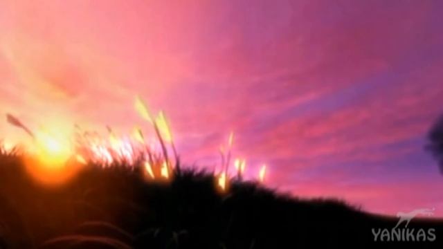 Дорога цветов... смотреть онлайн