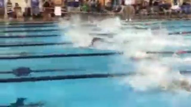 Bruno Fratus 50m Freestyle @ Richard Quick Invitational смотреть онлайн