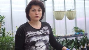 Лучший Грунт Для Адениумов...