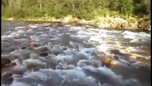 Казыр отдых смотреть онлайн