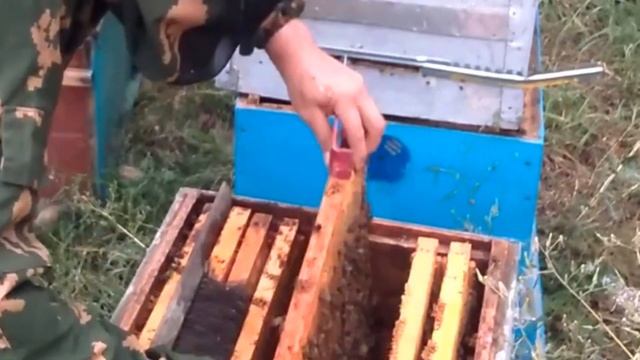 Сборка гнёзд в зиму