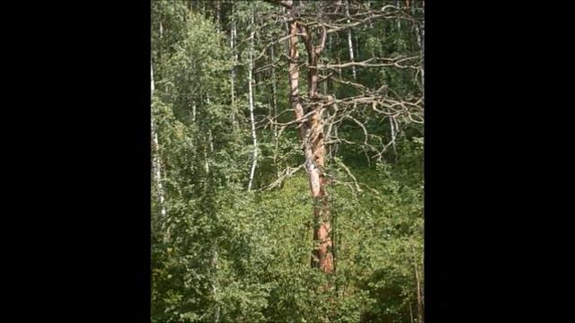 Сплав по Уфе Часть 5 смотреть онлайн