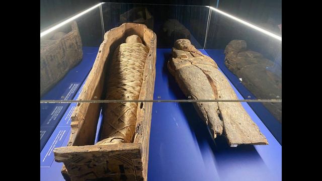 Выставка Мумий смотреть онлайн