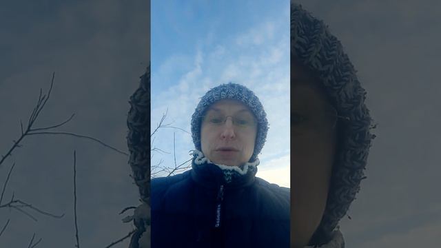 Рассвет в Шираме, 21 марта, равноденствие! что с яблоньками - как им помочь? смотреть онлайн