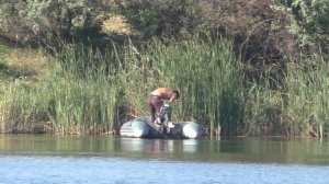 Ловля сетью крупного карпа и толстолобика на частном водоеме .Fishnet, seine.