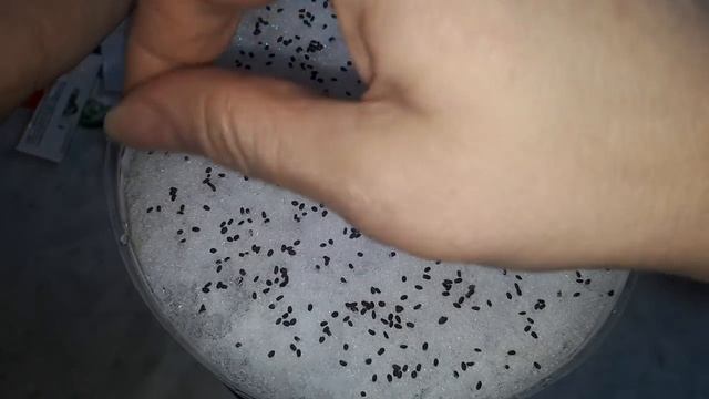 Пора посеять семя стройности! смотреть онлайн