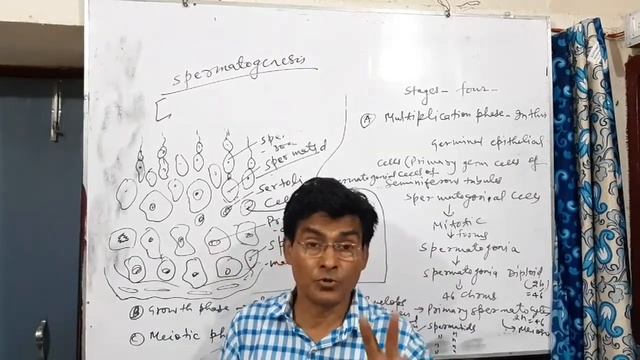 3rd chapter..21st Class..Female reproductive system смотреть онлайн