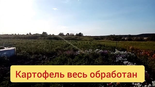 Обзор огорода! Урожай 2022 ???️ смотреть онлайн