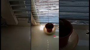 ?~Бумажные драконы из Лайка~?#6