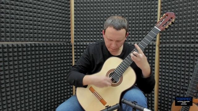 Кедр или ель? Тест гитар А. Пашенцева. Видеообзор Ю. Алешников смотреть онлайн