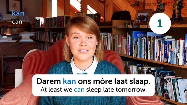 160 Afrikaans Words for Everyday Life - Basic Vocabulary #8 смотреть онлайн