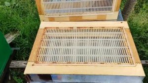 Изоляция маток. ч. 4. Изолятор Миленина, Хмары ВВ и многорамочные изоляторы ВВ. Практика применения