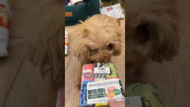 Адвент календарь день 12-14 ТУАЛЕТНЫЕ ПОДАРКИ смотреть онлайн