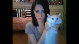 Рыжая лысая киска