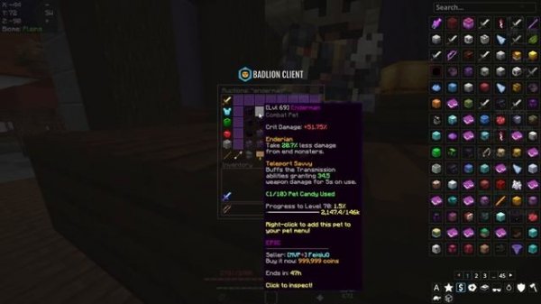 How To Get ENDERMAN SLAYER 5 QUICK | Hypixel Skyblock