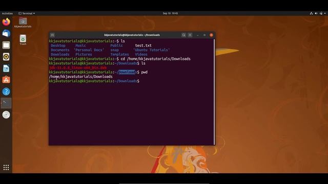Relative and Absolute Paths In Linux Command Line || Linux Tutorial || Linux Interview Question смотреть онлайн