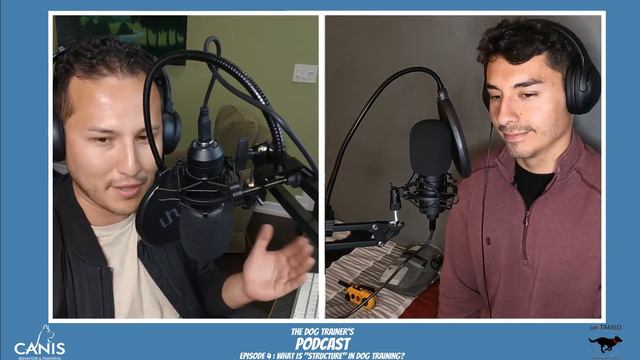 Dog Trainers Podcast Episode 4: What Is "Structure" In Dog Training? - Limits смотреть онлайн