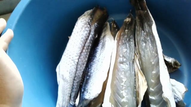 КАК ВЯЛИТЬ (сушить) ПЕЛИКА смотреть онлайн