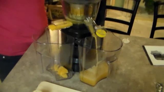 CUH 150W Electric Slow Fruit Vegetable Juicer Low Noise смотреть онлайн