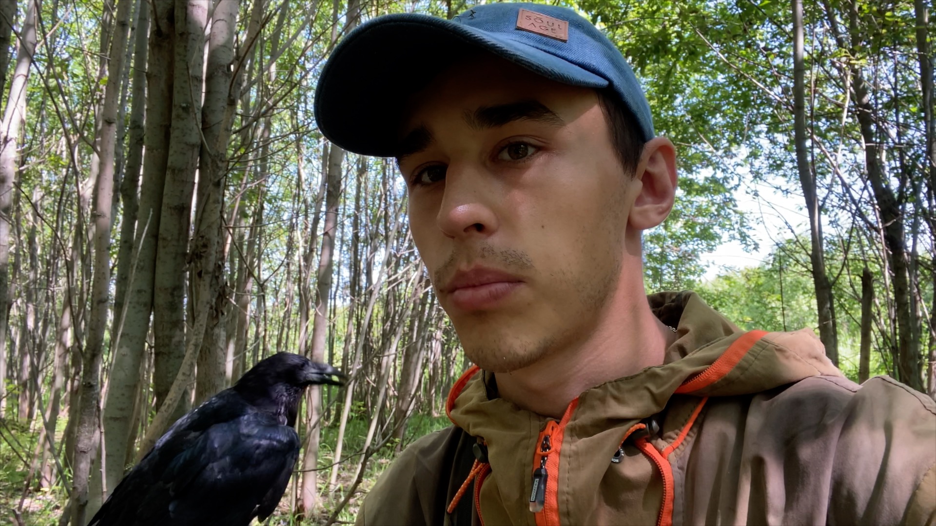 Сорока Пушок умер! В чём была причина? смотреть онлайн