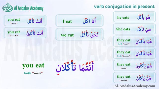 Conjugate the verb to eat in Arabic in present tense смотреть онлайн