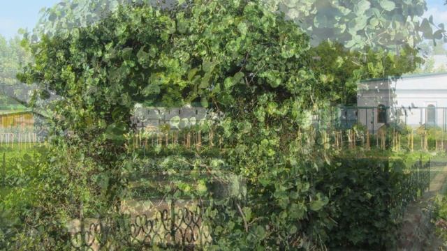 The Spaso-Preobrazhensky monastery (Murom) Цветники и рокарии Спасо Преображенский монастырь смотреть онлайн