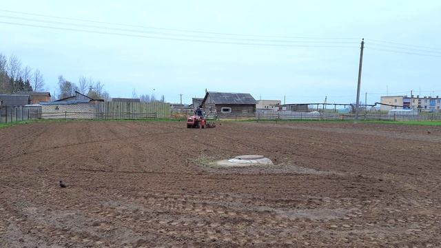 Самодельный культиватор с катком к мини трактору МТЗ-132.Закрываю зерновые смотреть онлайн