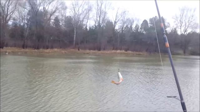 Рыбалка на обводном канале возле села Лебедивка - Видео 09.01.14 смотреть онлайн