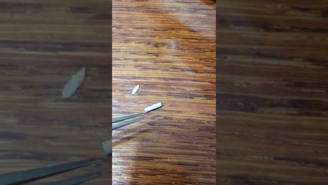 Не греет воду на посудомоечной машине Electrolux | Ремонт ТЭНа смотреть онлайн