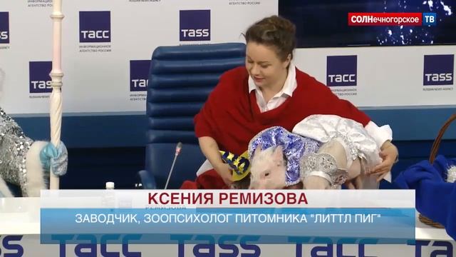 Российский Дед Мороз приедет в Солнечногорск смотреть онлайн