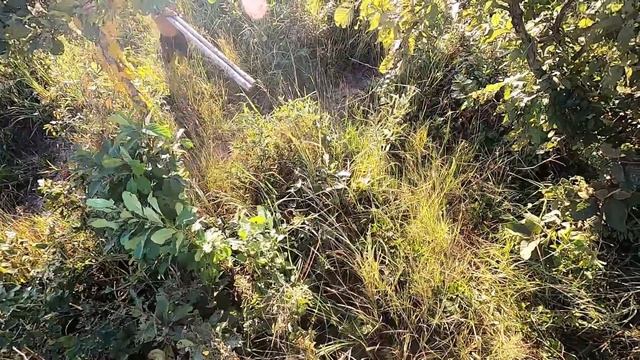 Build Modern Contemporary Mud Villa And Design Water Slide To Beautiful Underground Swimming Pool смотреть онлайн