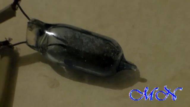 Циркониевая лампа вспышка смотреть онлайн