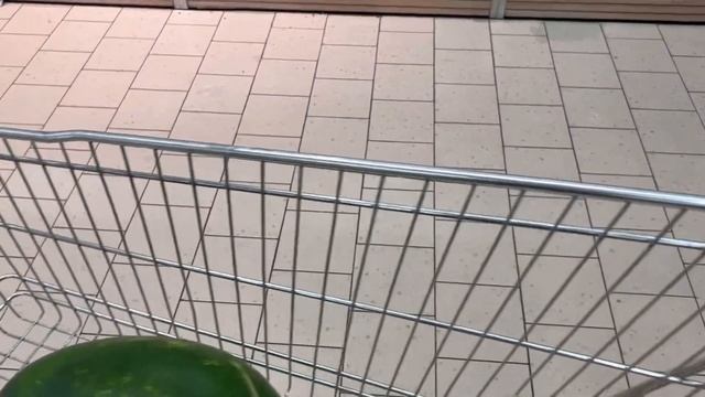 Наша закупка продуктов в Голландии. Lidl Niederlande ??